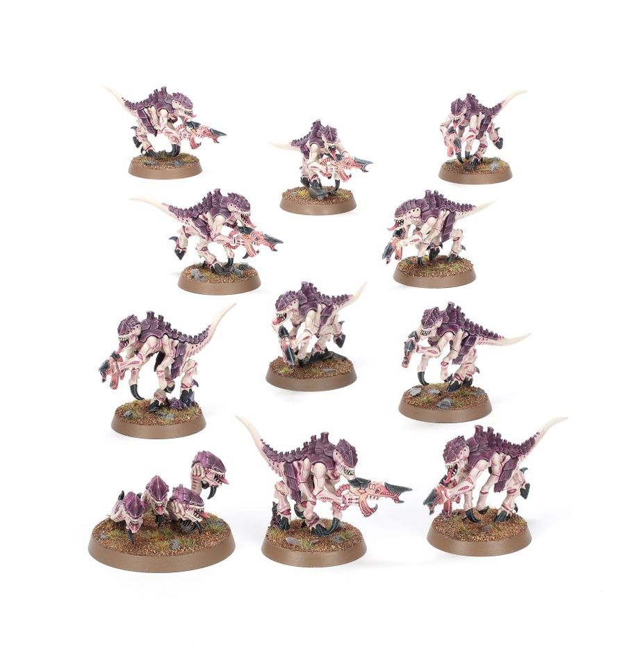 Warhammer 40,000. introductory set